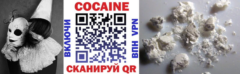 Cocaine Fish Scale  omg рабочий сайт  Бокситогорск  закладка 