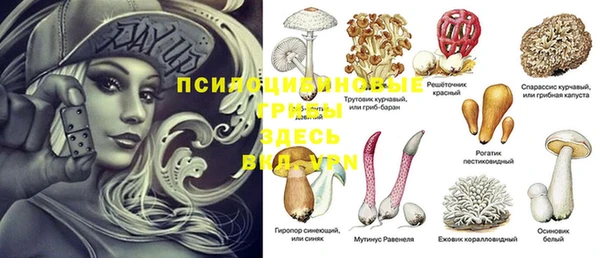метадон Алексин