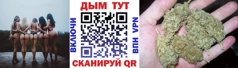 Шишки марихуана VHQ  сколько стоит  Бокситогорск 